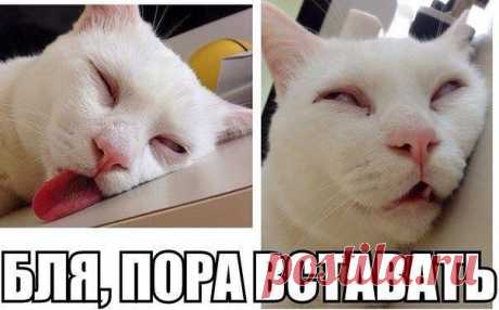 Новости