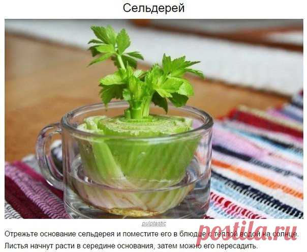 Новости