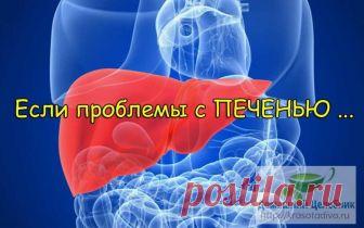Типичные жалобы при заболеваниях печени: как больной орган «жалуется» нам При болезнях печени независимо от причины заболевания появляются следующие типичные жалобы (симптомы).

Кожный зуд
Причиной кожного зуда является нарушение обезвреживающей и выделительной функции пече…