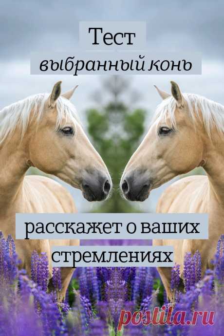 Лошади красивые животные, даже какие-то грациозные и благородные. Они очень долго живут рядом с человеком.
Посмотрите на лошадей, которые находятся на картинке. Выберите ту, которая Вам больше всего понравилась.