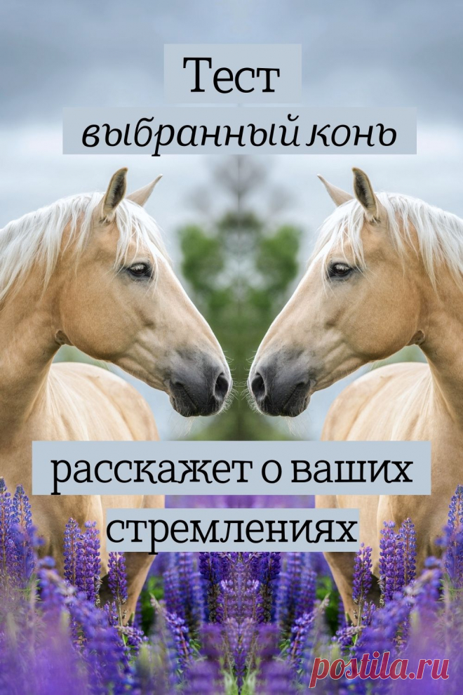Лошади красивые животные, даже какие-то грациозные и благородные. Они очень долго живут рядом с человеком.
Посмотрите на лошадей, которые находятся на картинке. Выберите ту, которая Вам больше всего понравилась.