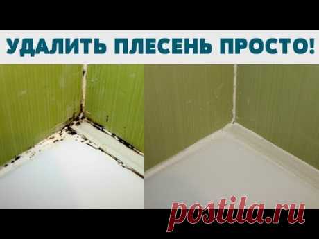 КАК НАВСЕГДА УБРАТЬ  ПЛЕСЕНЬ ГРИБОК в ванной КАК ОЧИСТИТЬ ШВЫ МЕЖДУ ПЛИТКОЙ УДИВИТЕЛЬНО ПРОСТО - YouTube