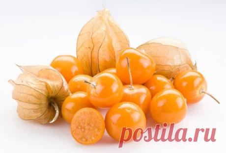 Физалис съедобный - Моя любимая дача