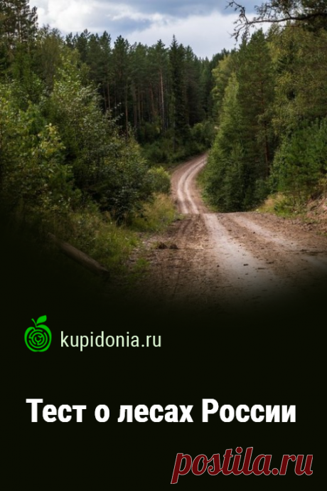 Тест о лесах России. Тест по окружающему миру о лесах России. Материал для учителей и школьников. Проверьте свои знания!