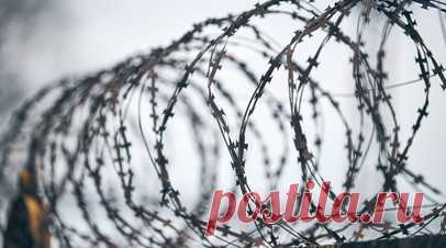 Виновники смертельной драки в Екатеринбурге отправятся в колонию. Свердловский облсуд вынес приговор пятерым обвиняемым по делу о массовой драке со смертельным исходом в Екатеринбурге в апреле 2024 года. Читать далее