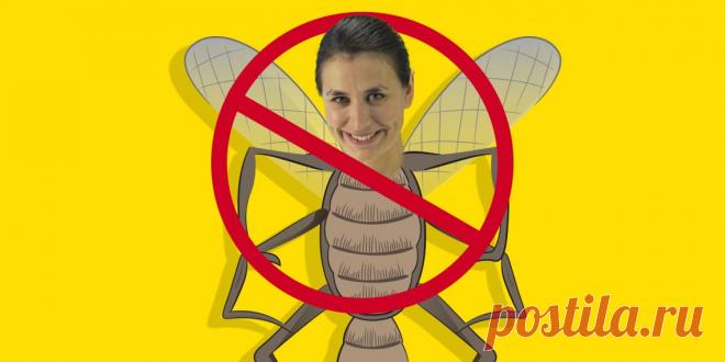 10 лучших народных средств от комаров и других насекомых - Лайфхакер