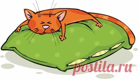 Котик на подушке рисунок