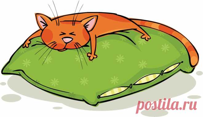 Котик на подушке рисунок
