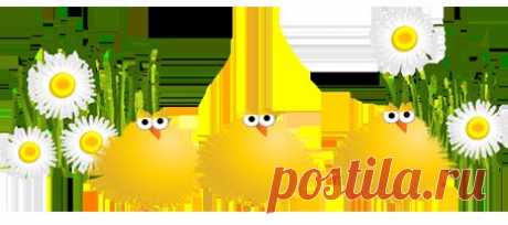 Шуточные - Страница 3 - Форум