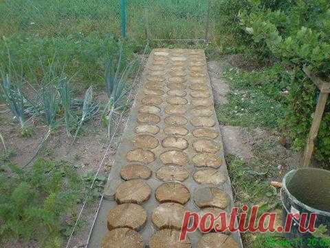 Дорожка для дачи своими руками Дорожка для дачи своими рукамиДоброго времени суток, уважаемые форумчане! Хочу представить на Ваш суд вариант дачной дорожки. Решение конечно не совсем практичное и не из лучших, но может кому нибудь ...