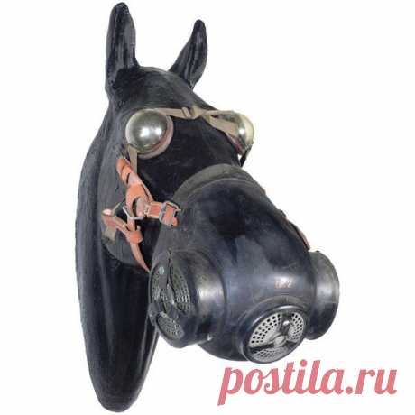 Редкий немецкий противогаз для лошади, / История цивилизаций!