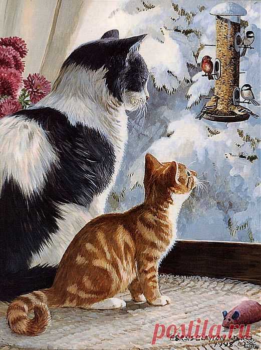 Persis Clayton Weirs