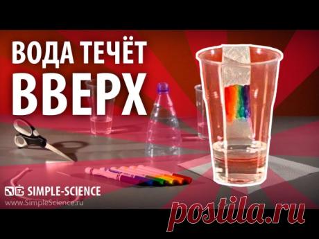 Простые опыты для детей

Простые опыты которые можно проводить вместе с детьми. Все они безопасны и дети могут их повторить практически самостоятельно.