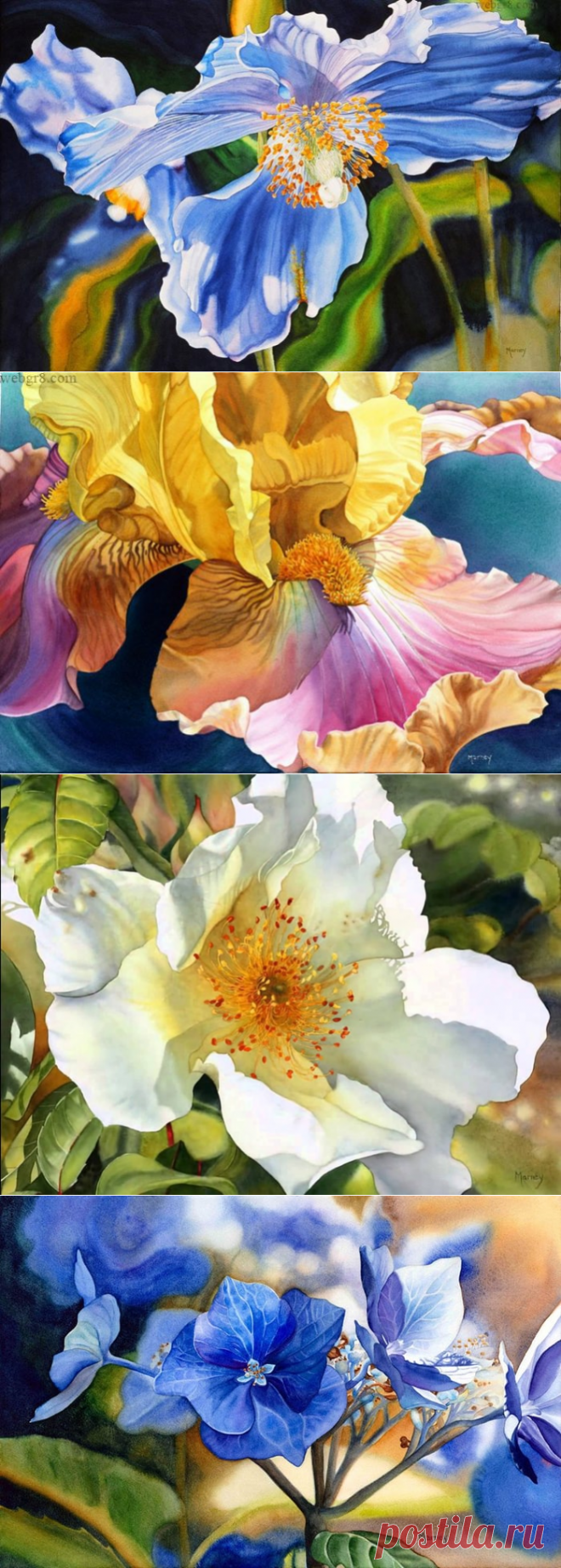 Художник Marney Ward (Марни Вард). Картины