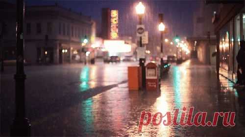 23 жизненных принципа
