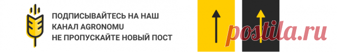Пикировка рассады: что это такое и зачем это нужно