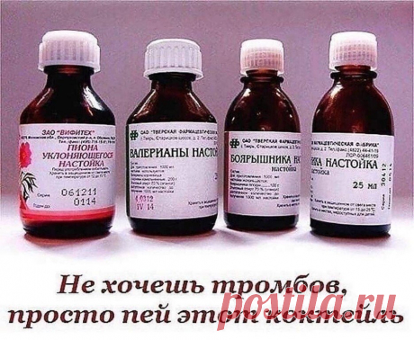 Не хочешь тромбов, просто пей этот коктейль
Народная медицина предлагает универсальный коктейль от многих заболеваний. Нужно смешать в одной бутылке (желательно тёмного стекла) аптечные настойки: • по 100 мл. пустырника, • валерианы, • боярышника, • пиона уклоняющегося, • 50 мл. листа эвкалипта и • 25 мл. травы мяты перечной
Добавьте 10 бутонов гвоздики (пряность при не переносимости можно не добавлять) корвалол по желанию.. Настаивайте смесь 2 недели.
Принимать 3 раза в день по 1 ч. л. в 1/3
