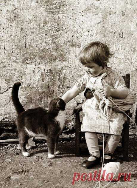 (23) Knitting-Info.Ru - Публикации