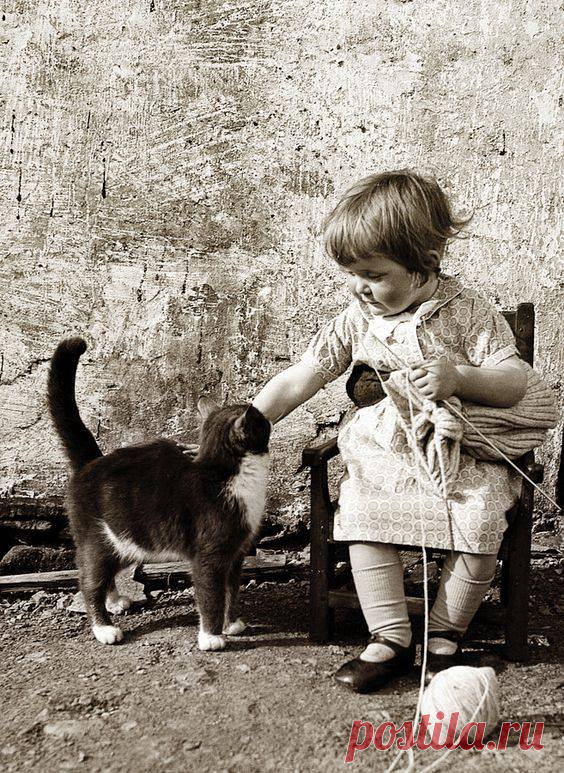 (23) Knitting-Info.Ru - Публикации