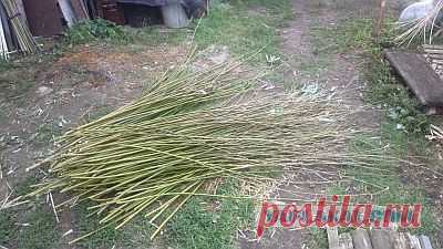 Моё хобби,постепенно переросшее в работу 

Решил поделиться с вами своим хобби, а в силу сложившихся обстоятельств-не только хобби.Зашли как-то в магазин с женой, там кашпо для цветов плетеное,ну и дернул меня черт сказать ей, что это сам мо…