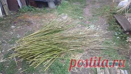 Моё хобби,постепенно переросшее в работу
Решил поделиться с вами своим хобби, а в силу сложившихся обстоятельств-не только хобби.Зашли как-то в магазин с женой, там кашпо для цветов плетеное,ну и дернул меня черт сказать ей, что это сам мо…