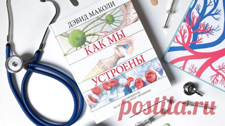 Такие разные энциклопедии: увлекательные факты и никакого занудства🤓 Что подросток думает про энциклопедии? Что это толстые книжки с набором скучнейших фактов, которые проносятся перед глазами, но тут же забываются. А еще написаны сложно и вообще лучше их отложить. Готовы переубедить его в два счета! То есть в три: с помощью наших классных книг. #mifdetstvo #издательствомиф #папамамам