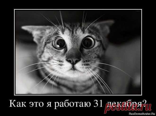 Google+