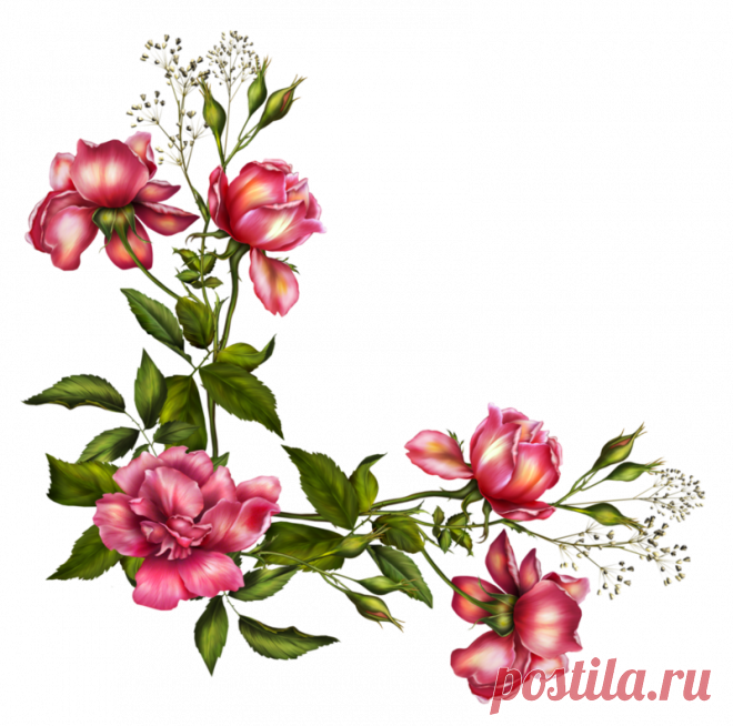 Цветы - Клипарты PNG - Клипарты у Анны.