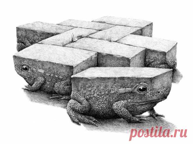 Художник Redmer Hoekstra сочетает несочетаемое. В его рисунках карандашом животные и объекты переплетаются в единое целое, рождая неповторимые потрясающие образы.