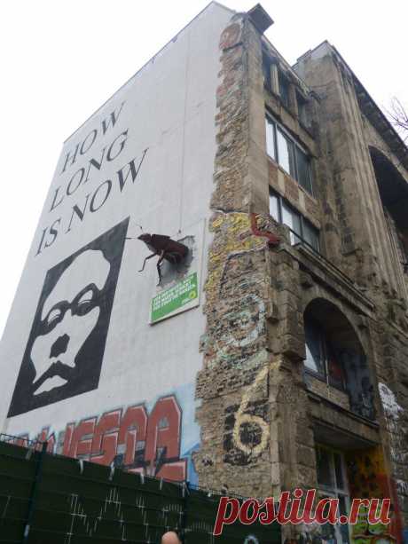 Very strange Haus)