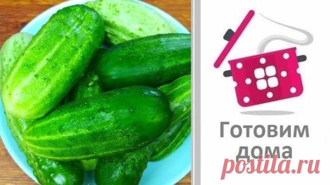 Супер способ Хранения Огурцов круглый год!