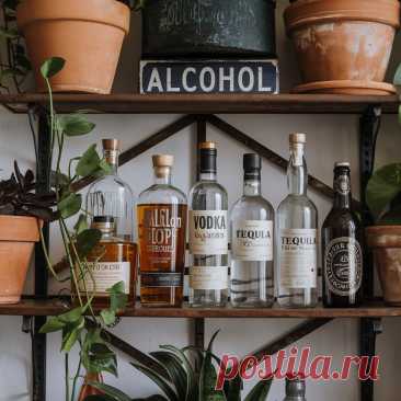 🥑 Закуска, которая спасает печень: что съесть перед вечеринкой, чтобы не было плохо утром 🍳 | Калдырье | Дзен