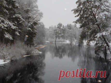 ФОТОМАСТЕРСКАЯ ПРИРОДЫ
Светлана Пыстина (Фомина)