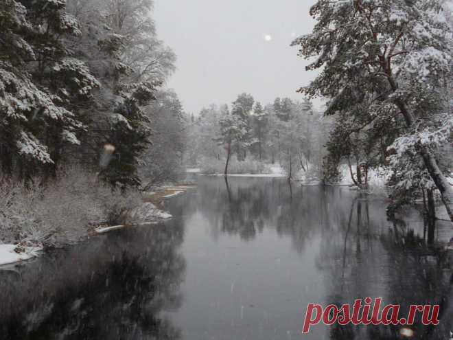 ФОТОМАСТЕРСКАЯ ПРИРОДЫ
Светлана Пыстина (Фомина)