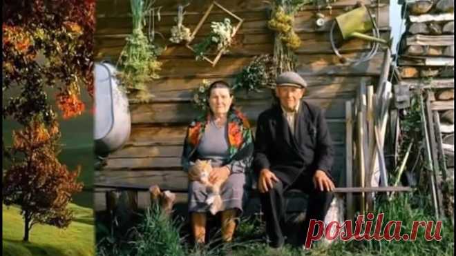 ДОМИК У ДОРОГИ МИХАИЛ ЕВДОКИМОВ.