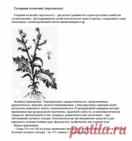 Татарник колючий (чертополох).
«Уникальные лечебные свойства сорняков»  Корсун В.Ф., Викторов В.К