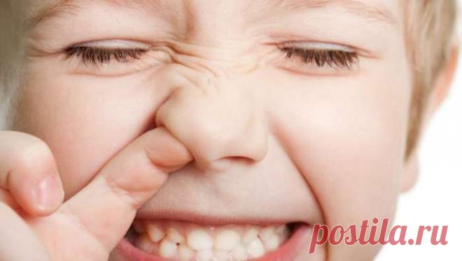 Оказывается, ты всегда останавливал носовое кровотечение неправильно! Губительная ошибка… — Домашний уют