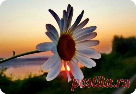 Мы сами виноваты в своих бедах. | Женский журнал