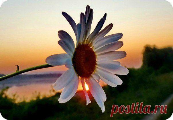 Мы сами виноваты в своих бедах. | Женский журнал