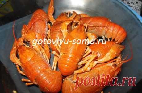 Вареные раки | Вкусные рецепты с фотографиями
