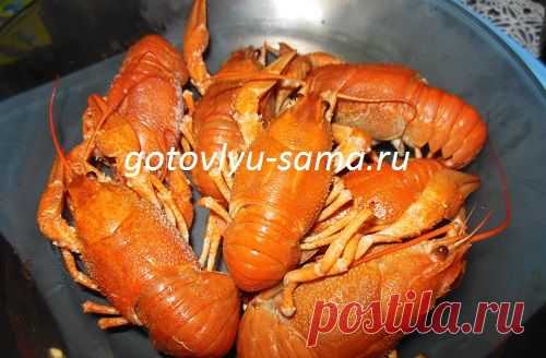 Вареные раки | Вкусные рецепты с фотографиями