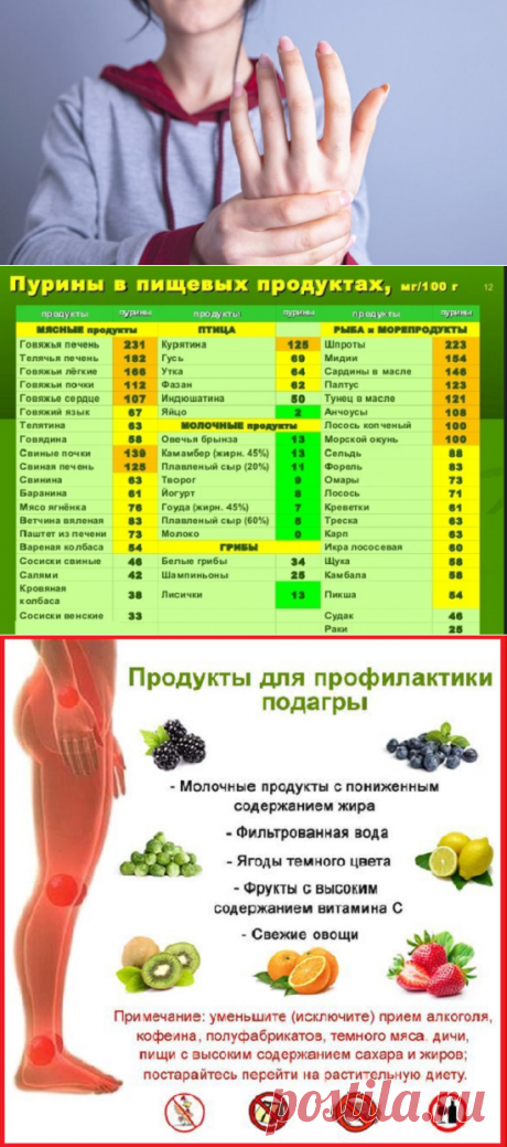 Профилактика подагры в пожилом возрасте: что мне доктор посоветовал на приеме | Блоггерство на пенсии | Яндекс Дзен