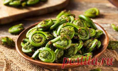 Как приготовить папоротник (орляк) - 11 вкусных рецептов