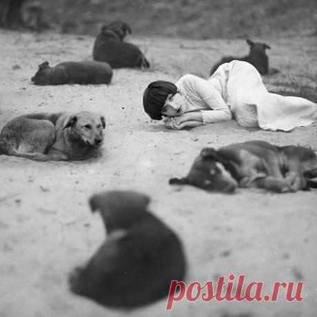 ●MESTIZIA♕● (✿◠‿◠)● ВЫТВАРЯШКА
Россия, Волшебный Россия