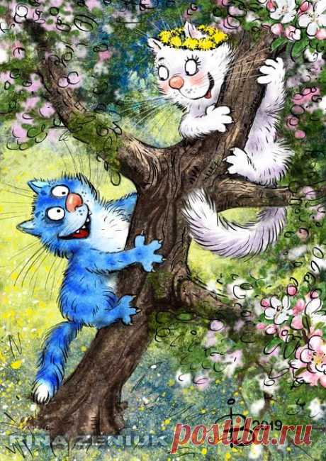 (577) Pinterest