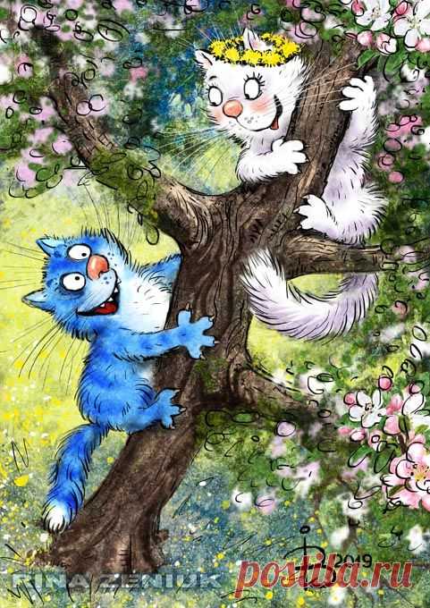 (577) Pinterest