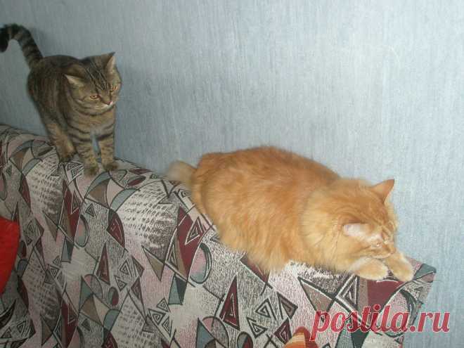 Никакого покоя