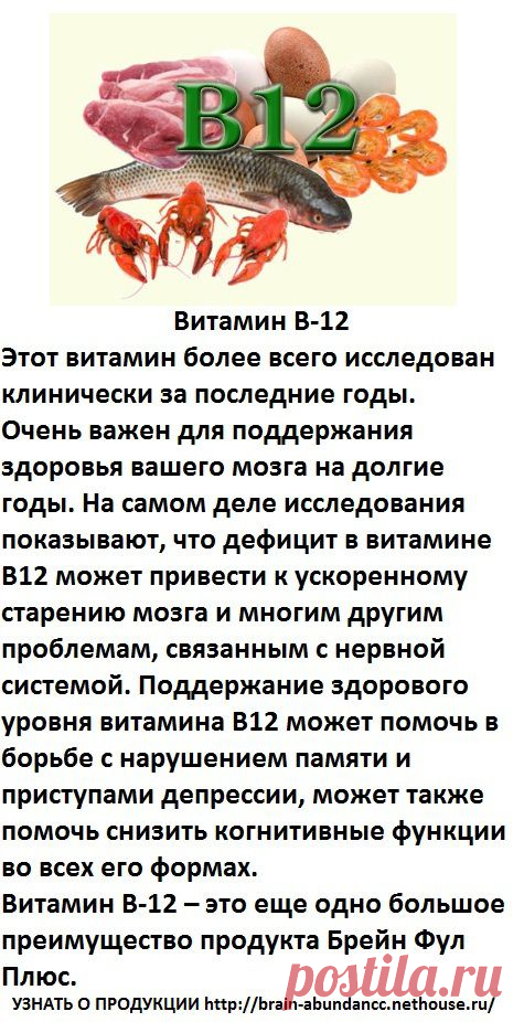Основные ингредиенты Продукта Брейн Фул Плюс:
Витамин В-12
Дефицит в витамине В12 может привести к ускоренному старению мозга и многим другим проблемам, связанным с нервной системой. Поддержание здорового уровня витамина В12 может помочь в борьбе с нарушением памяти и приступами депрессии, может также помочь снизить когнитивные функции во всех его формах. Витамин В-12 – это еще одно большое преимущество продукта Брейн Фул Плюс.