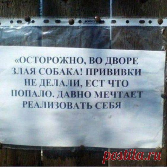 12 перлов народного творчества в записках и объявлениях