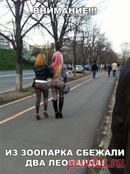 Гости, друзья